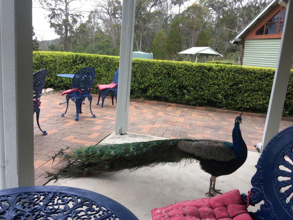 Girraween Country Inn Ballandean Eksteriør billede