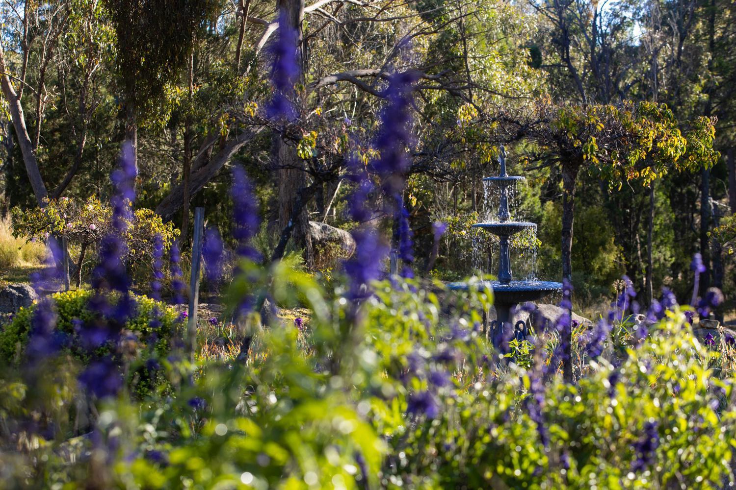 Girraween Country Inn Ballandean Eksteriør billede